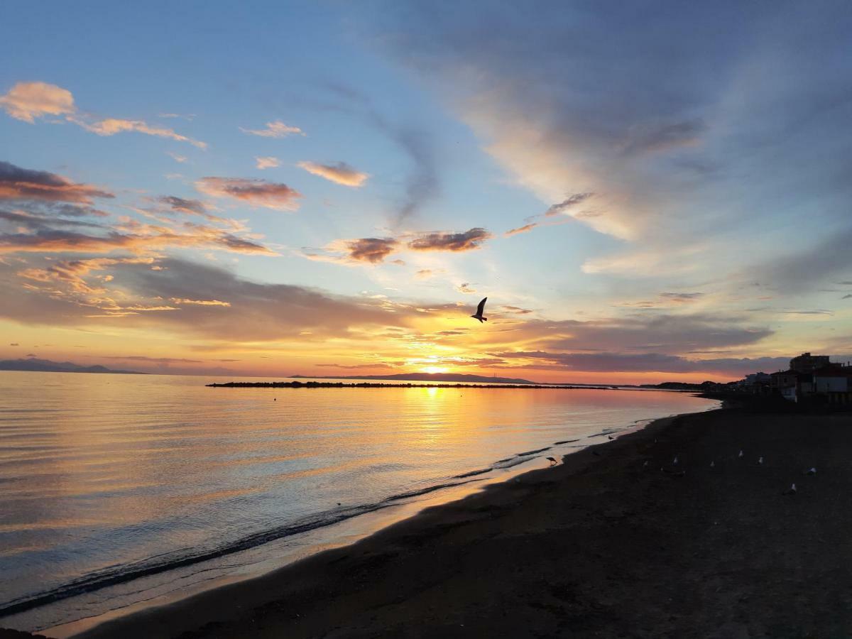 Acquamarina B&B ฟอลลอนนีกา ภายนอก รูปภาพ
